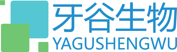 Yagu Naisi International  Service Trade Co., Ltd